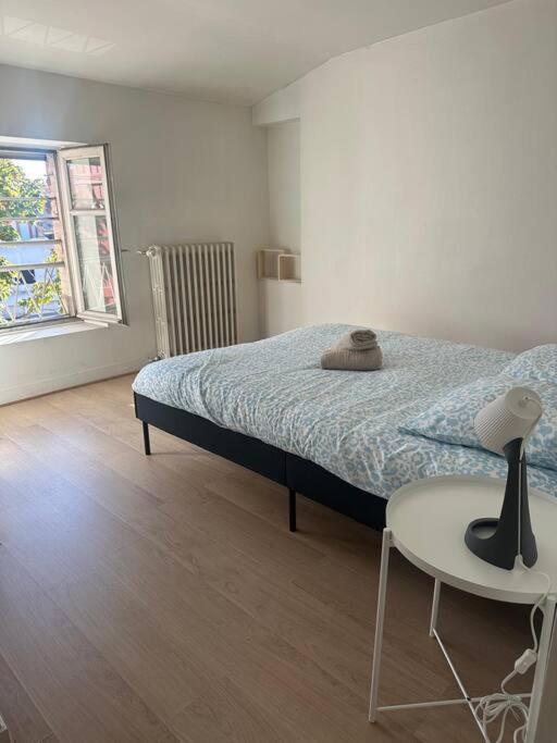 Le Leon Cladel T3 Proche Parking Gratuit Montauban Exterior foto